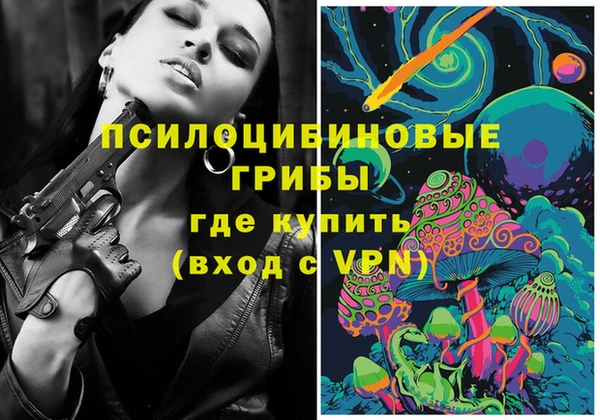 хмурый Струнино