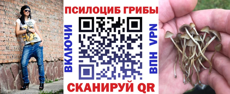 Галлюциногенные грибы Psilocybine cubensis  Георгиевск 